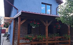 Casa Rustica Saceleana