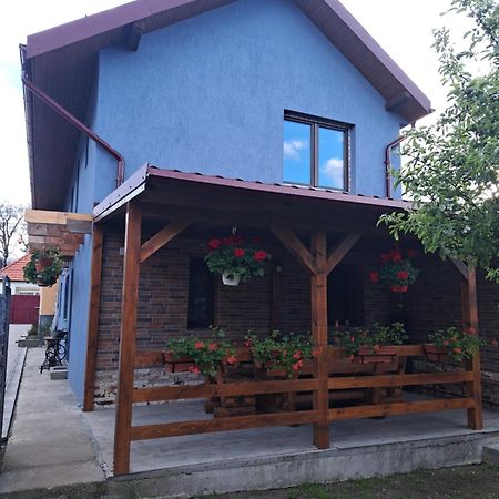 Casa Rustica Saceleana Villa Exterior foto