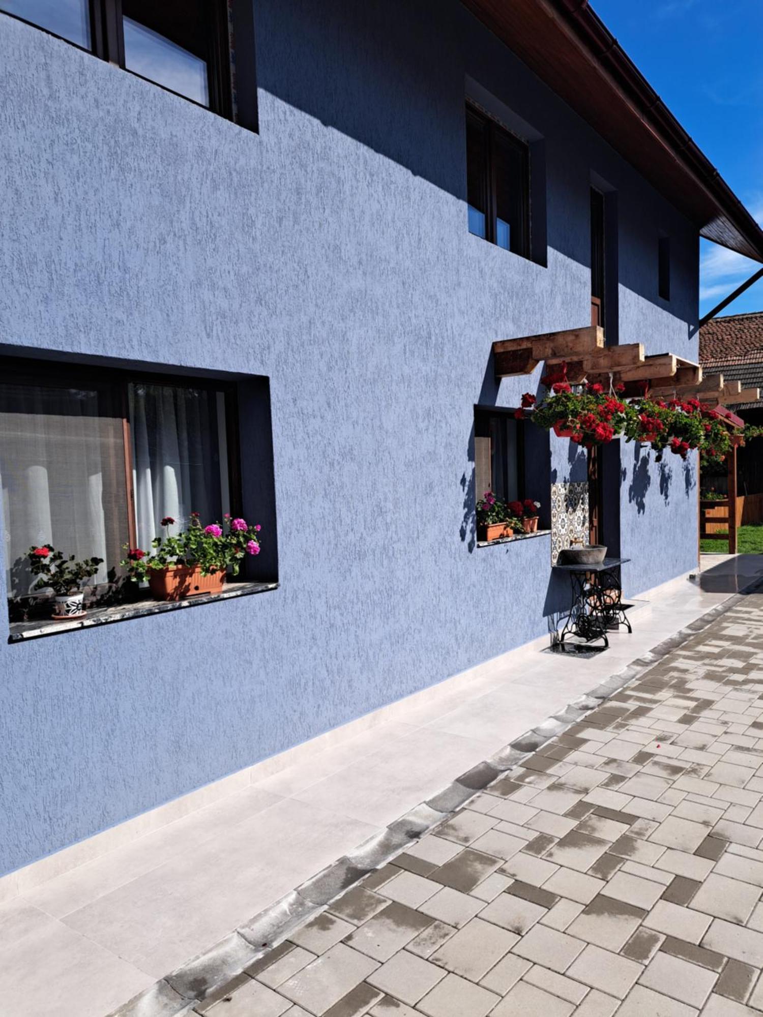 Casa Rustica Saceleana Villa Exterior foto