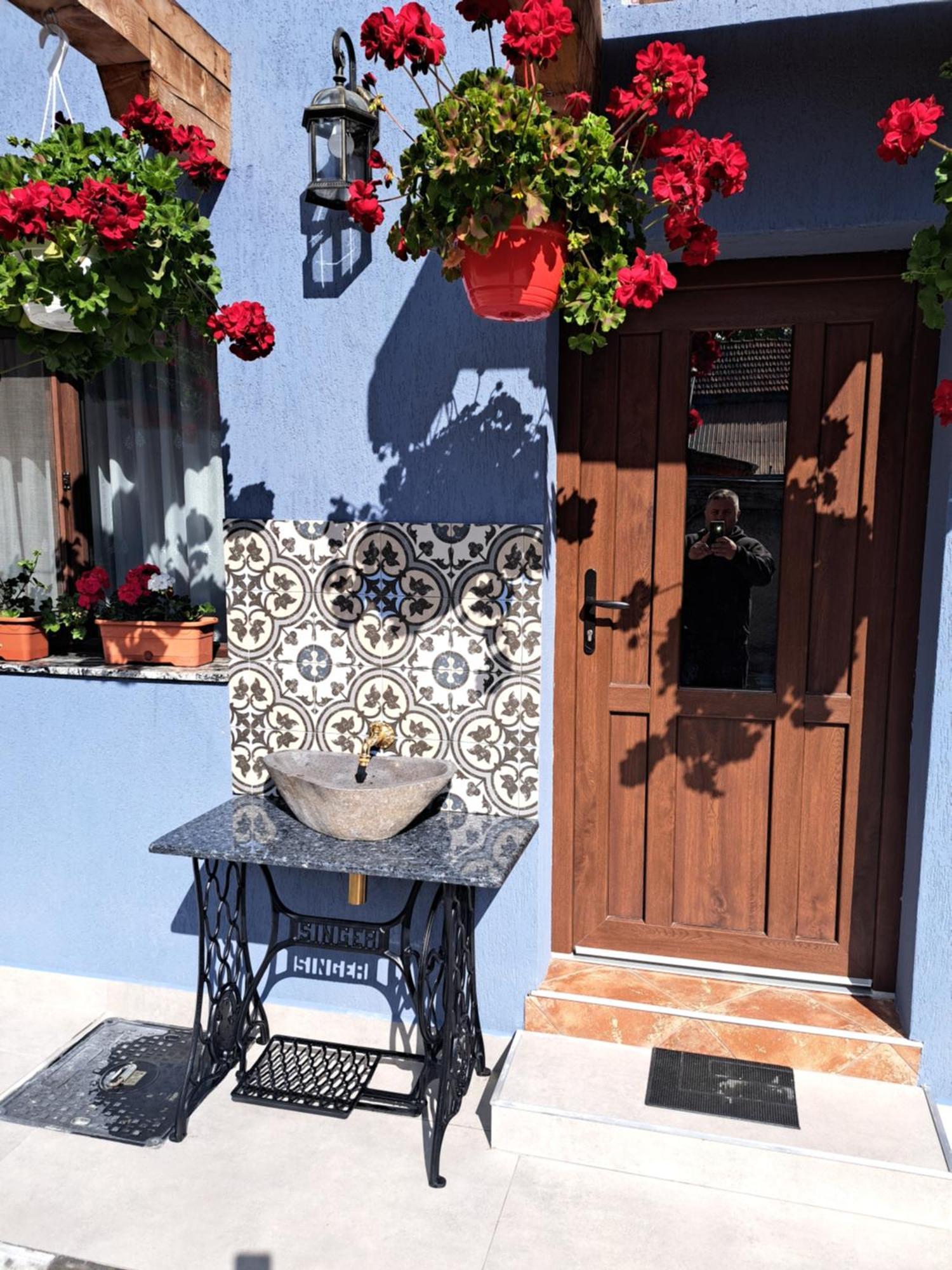 Casa Rustica Saceleana Villa Exterior foto