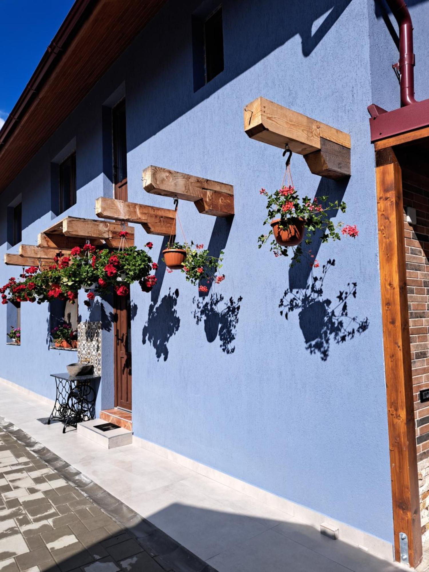 Casa Rustica Saceleana Villa Exterior foto