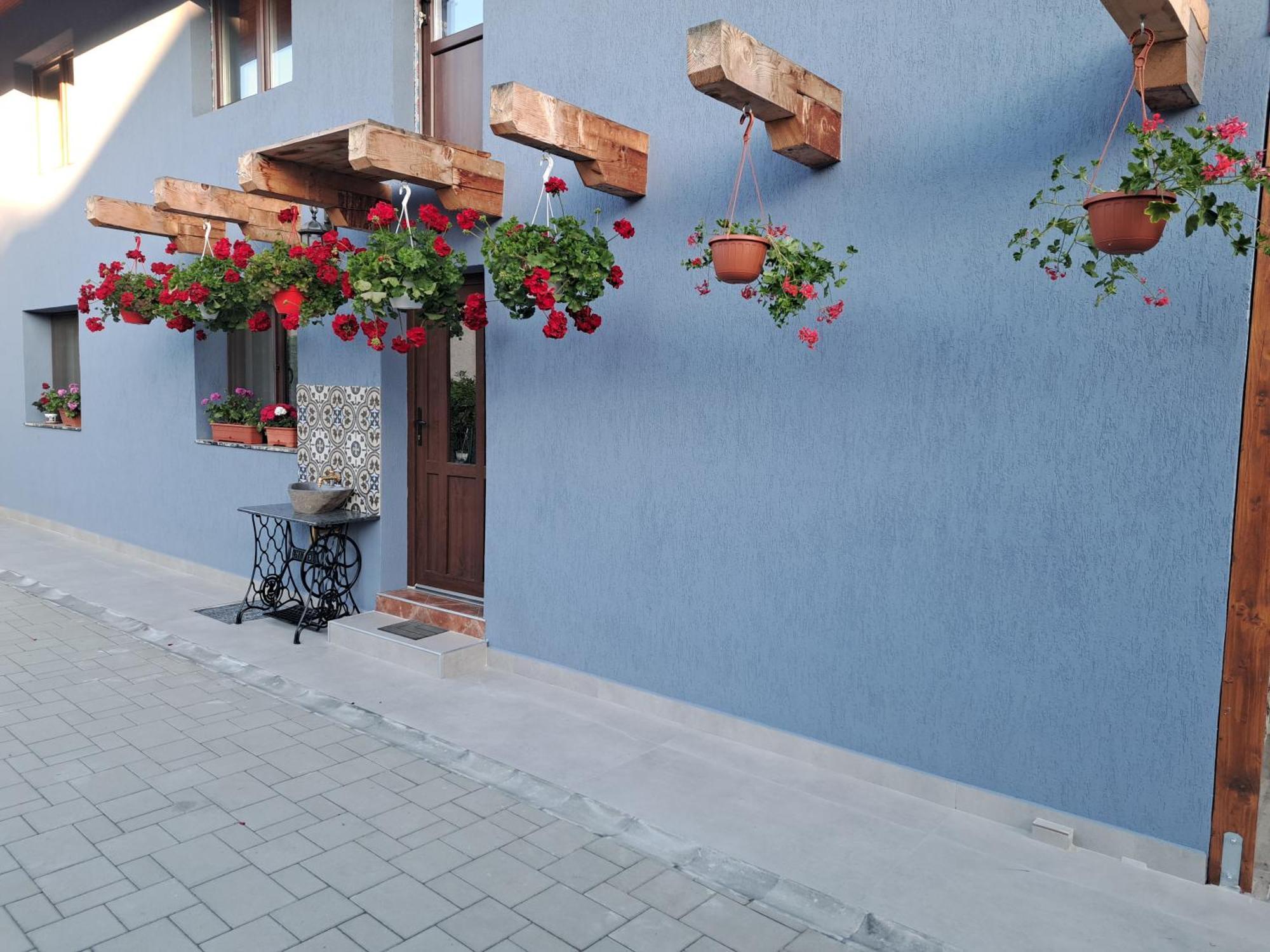 Casa Rustica Saceleana Villa Exterior foto